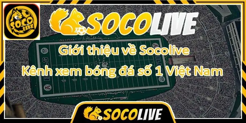 Một số lưu ý khi xem trực tiếp bóng đá tại Socolive